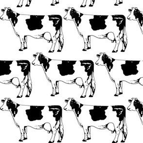 Moo Cow Boogie