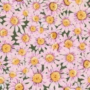 Pink Meadow Daisies on Cactus Green