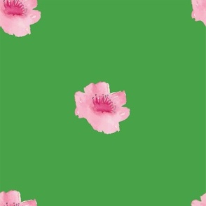 Pink Bright Watercolor Floral with Green Background