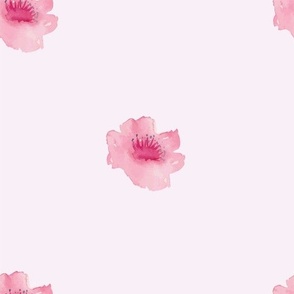 Pink Bright Watercolor Floral with Blush Background