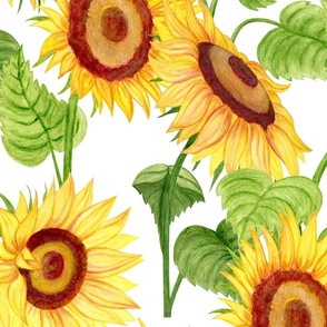 Sunflowers on a white background 5, watercolour illustration. Seamless floral pattern-238.