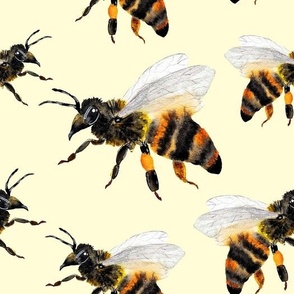Fluffy watercolor bees on yellow background