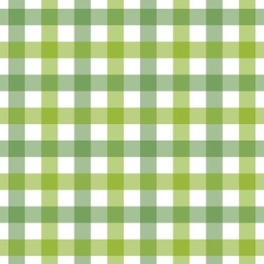 Pastel Gingham in green