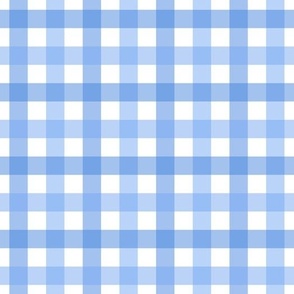 Pastel Gingham in Blue