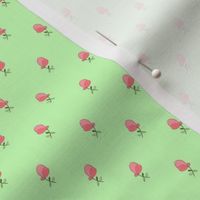 pink buds - green 