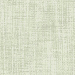 Light Green Canvas Fabric Texture Picture