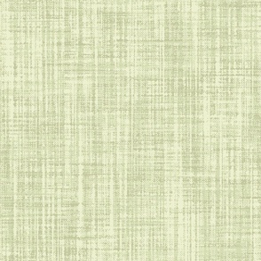 Coarse Canvas Texture Light Celadon Green