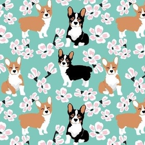 small print // Corgi dogs and cherry blossoms pink flowers on teal background dog fabric