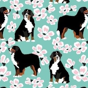 small print // Bernese Mt. Dogs cherry blossom blue teal background dog fabric floral