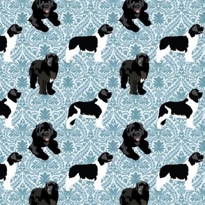 small print // Newfoundland dogs with William Morris style background damask light blue 