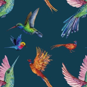 Colorful Birds