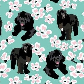 small print // Newfoundland Dogs Cherry Blossom pink and teal big black dog fabric