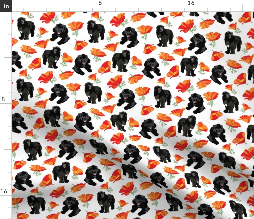 small print // black Newfoundland dogs and orange California poppy flowers floral dog fabric