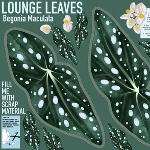 Lounge Leaves - Polka Dot Begonia