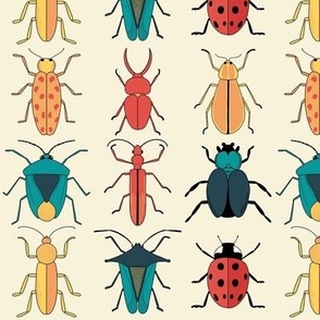 Multicolored Beetles, Bugs, Ladybug