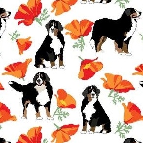 small print// Bernese Mountain Dog and California poppy flowers orange summer floral dog fabric
