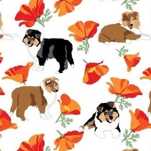small print // Collie dog puppies and California poppy flowers orange floral dog fabric