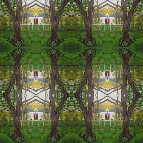 backyard tree kaleidoscope