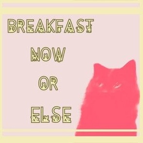Cat: "Breakfast Now Or Else."