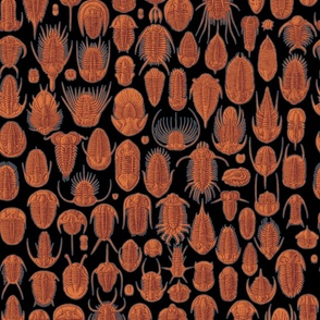 Trilobites - Orange and Brown on Black