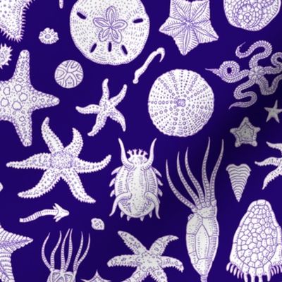 Sea Stars and Friends - Purple
