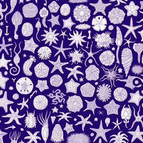 Sea Stars and Friends - Purple