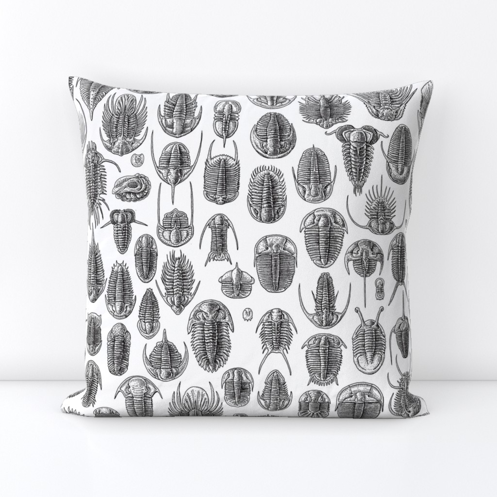 Trilobites - black and white