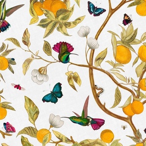 Hummingbirds, lemons and butterflies in white