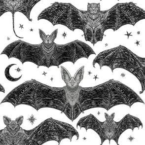 Hand Drawn Bats on Crisp White