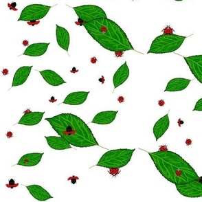 Ladybugs_And_Leaves