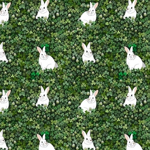 The Bunny Rabbit's Field of Clover 