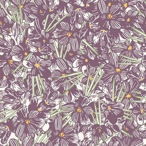 Field of Crocus Blooms - Plum Purple