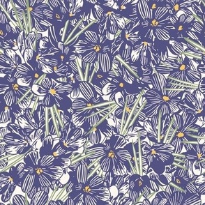 Field of Crocus Blooms - Purple