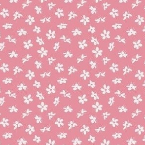 Saxifrage Flower Blooms - Pink Reverse
