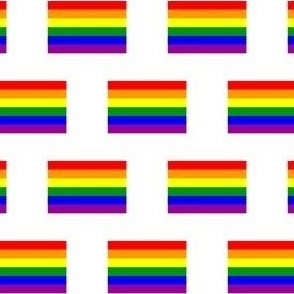 SMALL Pride flag fabric - minimal pride design