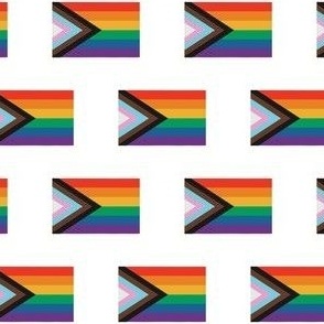 SMALL Pride flag fabric - minimal pride design