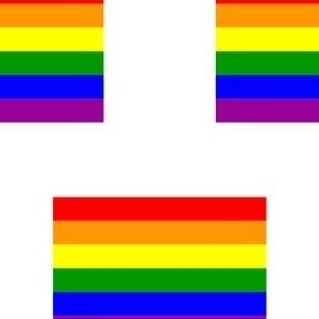 MEDIUM Pride flag fabric - minimal pride design