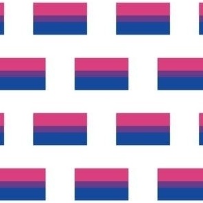 SMALL lgbtq flag - bisexual fabric - pride flags