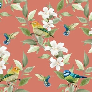 Plumeria, Finches, Hummingbirds, and Blue Tits on Aged Terra Cotta - Coordinate