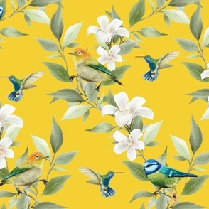 Plumeria, Finches, Hummingbirds, and Blue Tits on Saffron Yellow - Coordinate