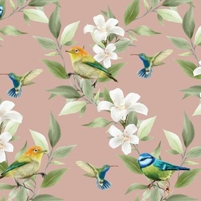 Plumeria, Finches, Hummingbirds, and Blue Tits on Regency Pink - Coordinate