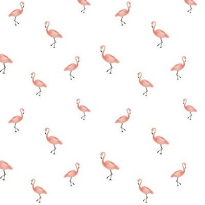 Little Flamingos Mini