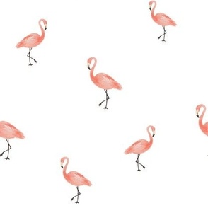 Little Flamingos