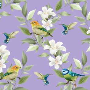 Plumeria, Finches, Hummingbirds, and Blue Tits on Digital Lavendar - Coordinate