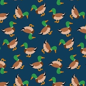 mallard ducks navy blue SMALL