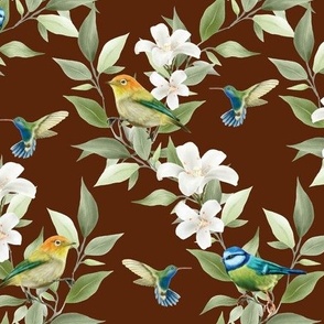 Plumeria, Finches, Hummingbirds, and Blue Tits on Chocolate Brown - Coordinate