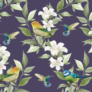 Plumeria, Finches, Hummingbirds, and Blue Tits on Royal Purple - Coordinate