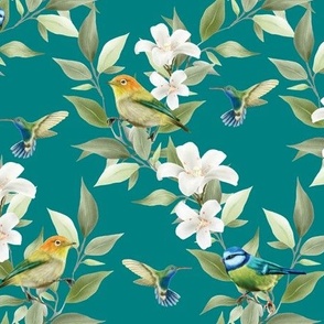 Plumeria, Finches, Hummingbirds, and Blue Tits on Teal - Coordinate