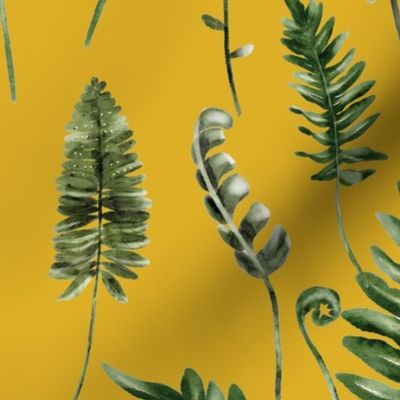 Ferns | Watercolor greenery