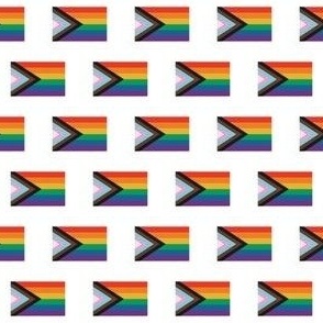 MINI Pride flag fabric - minimal pride design